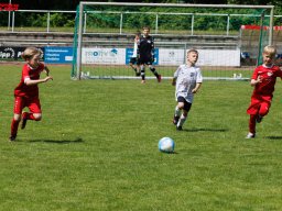 Hillen Cup 2024
